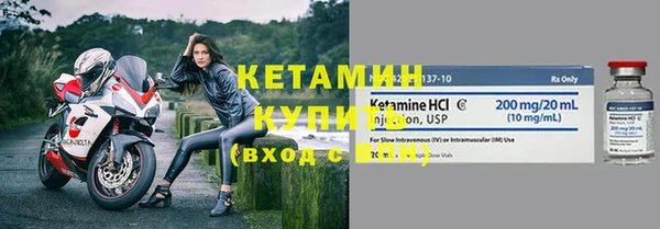 сатива Ельня
