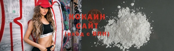 сатива Ельня