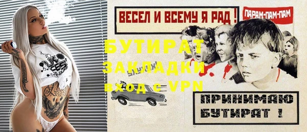 сатива Ельня