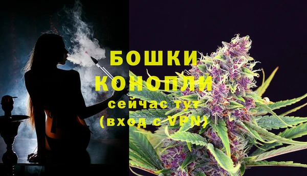 сатива Ельня