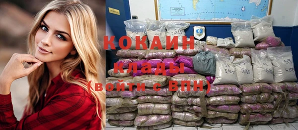 сатива Ельня