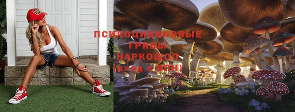 сатива Ельня