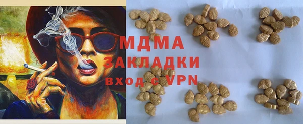 сатива Ельня