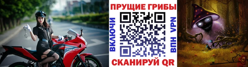 Купить где  Моршанск  Псилоцибиновые грибы Psilocybine cubensis 